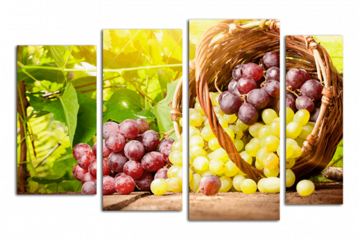 Модульная картина Корзина винограда