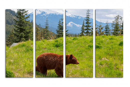 Модульная картина Медведь в горах