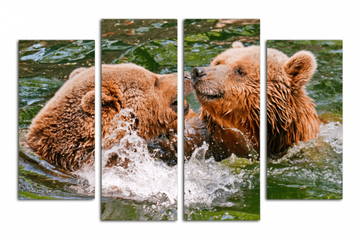 Модульная картина Медведи в воде