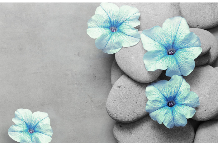 Модульная картина Голубые цветы на камне